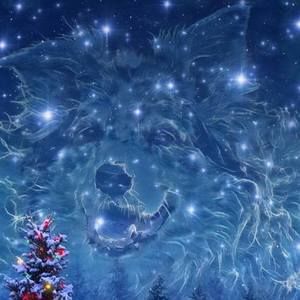 Meet your Posher, Edward